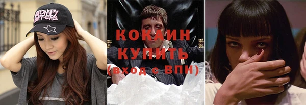 МДПВ Ельня