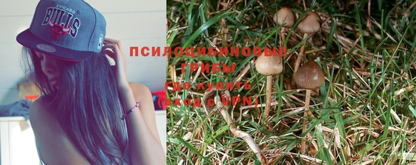 ешки Навашино
