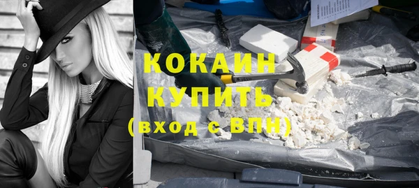 дживик Елизово