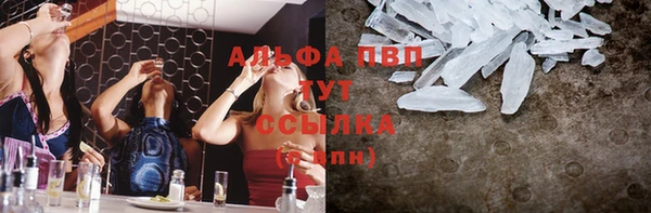 МДПВ Ельня