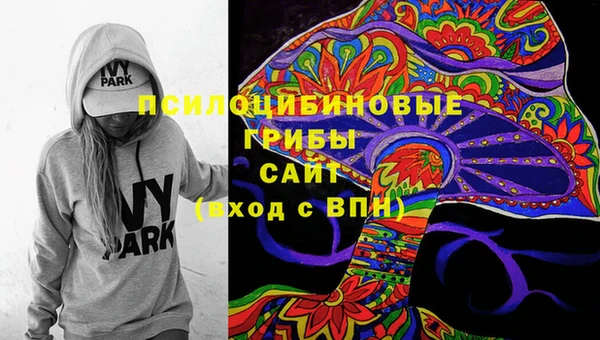 прущие крисы Нефтекумск