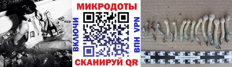 где продают наркотики  Судак  Галлюциногенные грибы мухоморы 